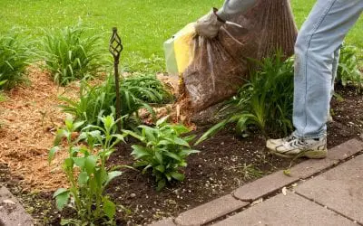 7 Easy Ways to Improve Curb Appeal