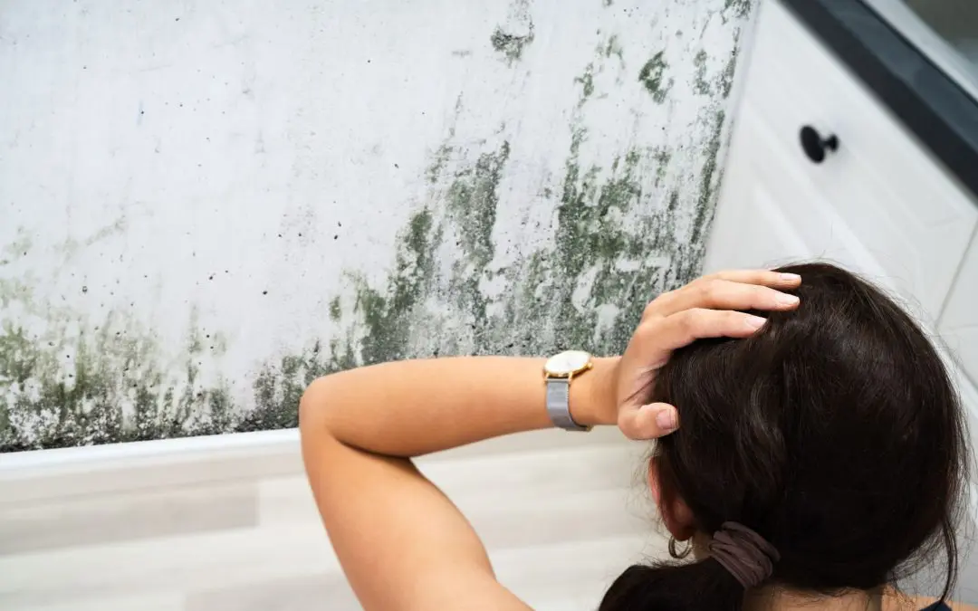 How to Prevent Mold in the Bathroom