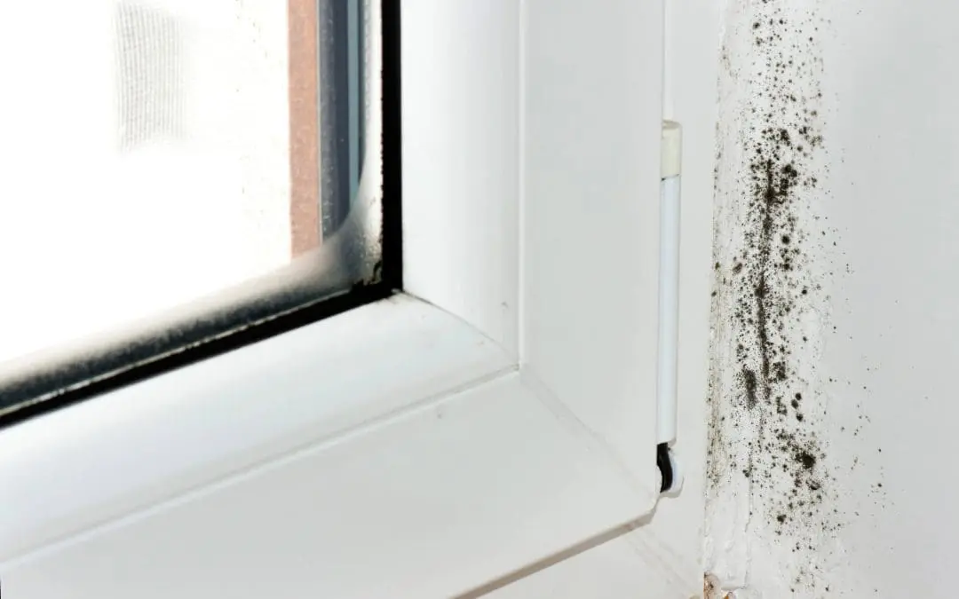 Causes of Mold