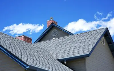 Don’t Wait for the Drip: Signs That You Need a New Roof