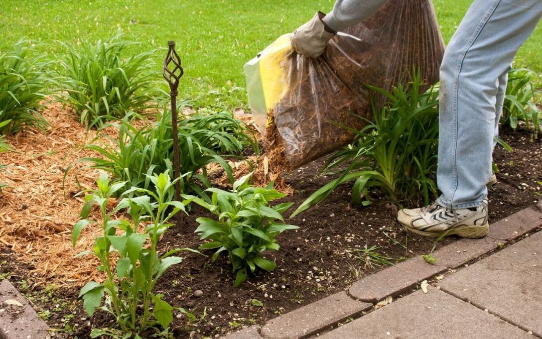 improve curb appeal by adding mulch to garden beds
