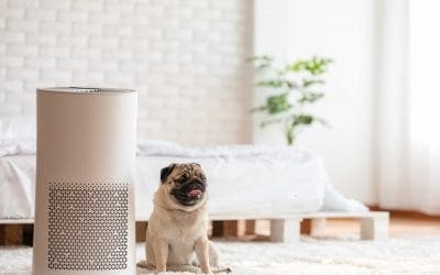 Ways to Improve Indoor Air Quality