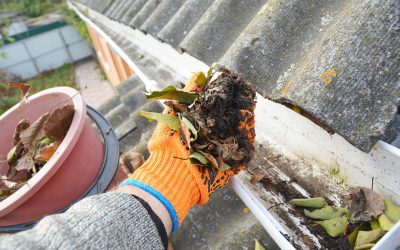 Spring Gutter Cleaning Guide: Essential Steps and Safety Tips