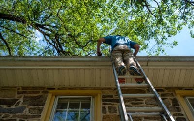 Monthly Home Maintenance You’ll Want to Keep Up With